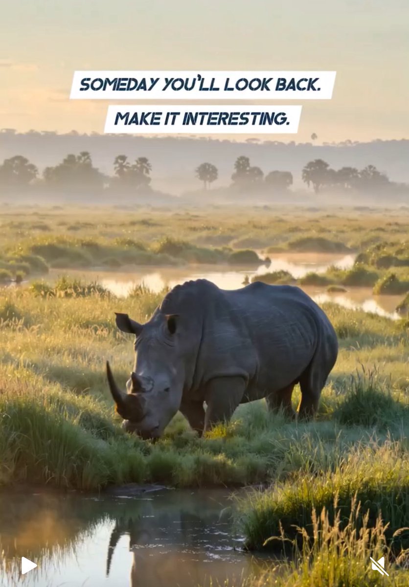 Dipankar (Stephen S) tweet media