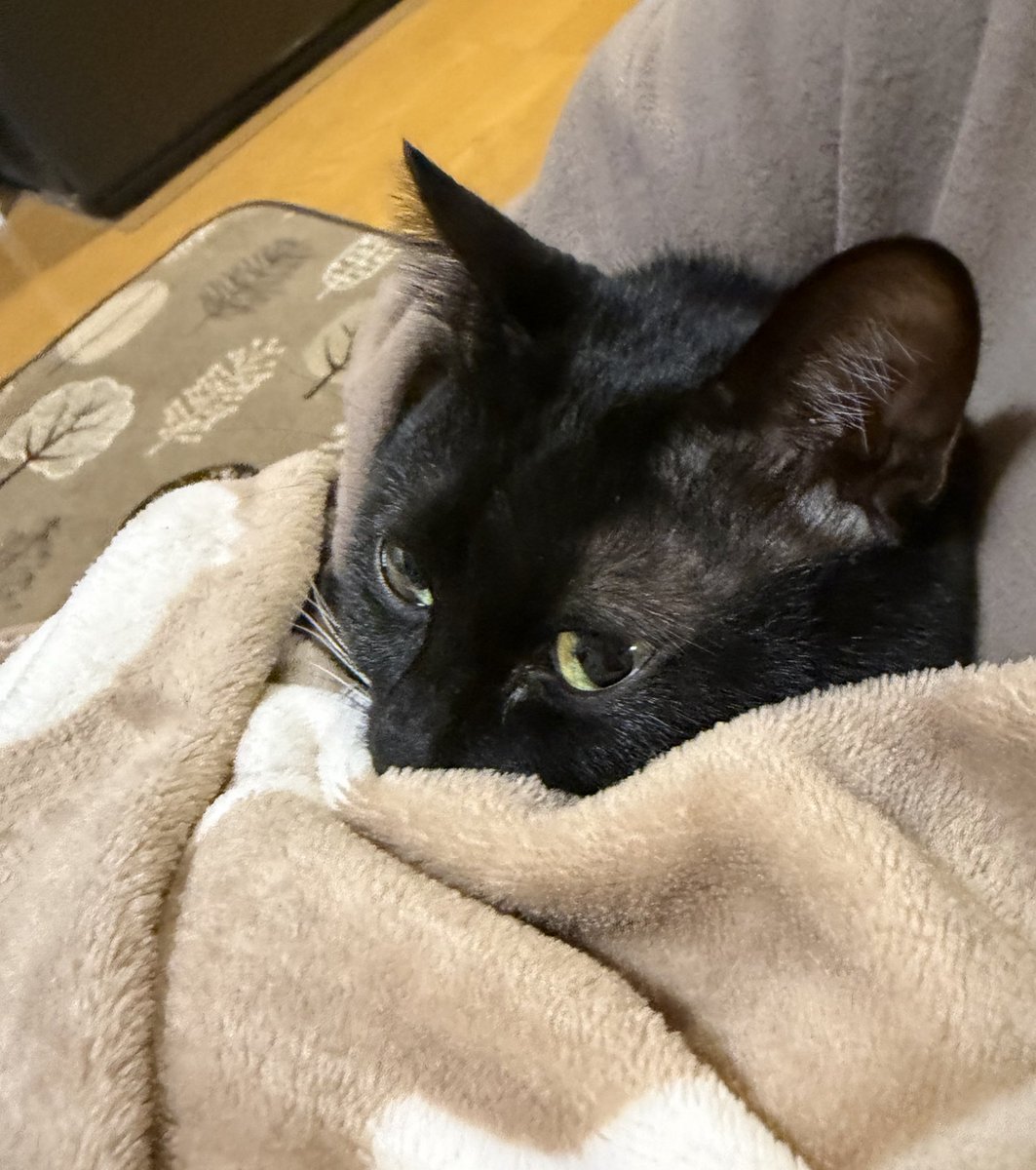 めぐみ♂ (@0625megu_mi) / Posts / X