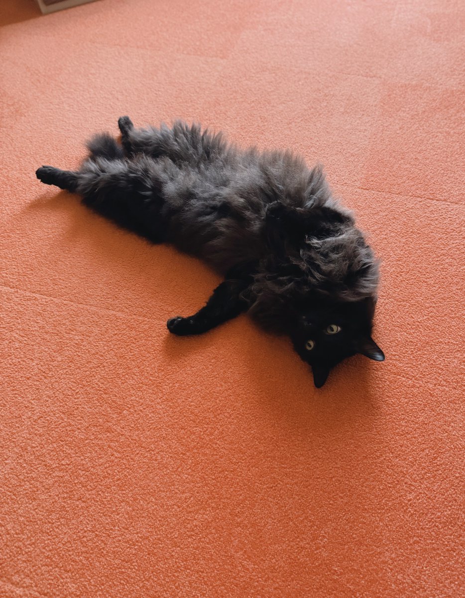 宇多天皇も猫をお吸いになっていたのだろうか