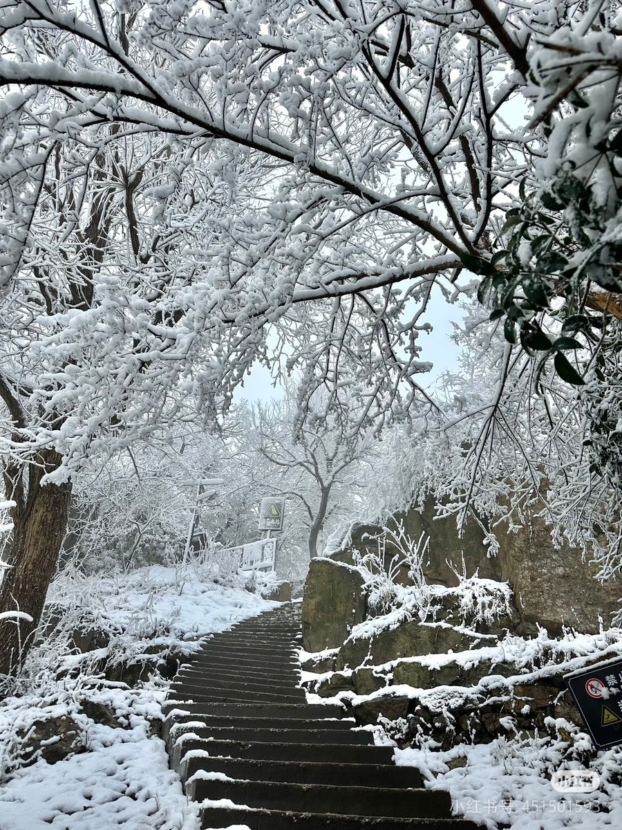 jackyfly tweet media