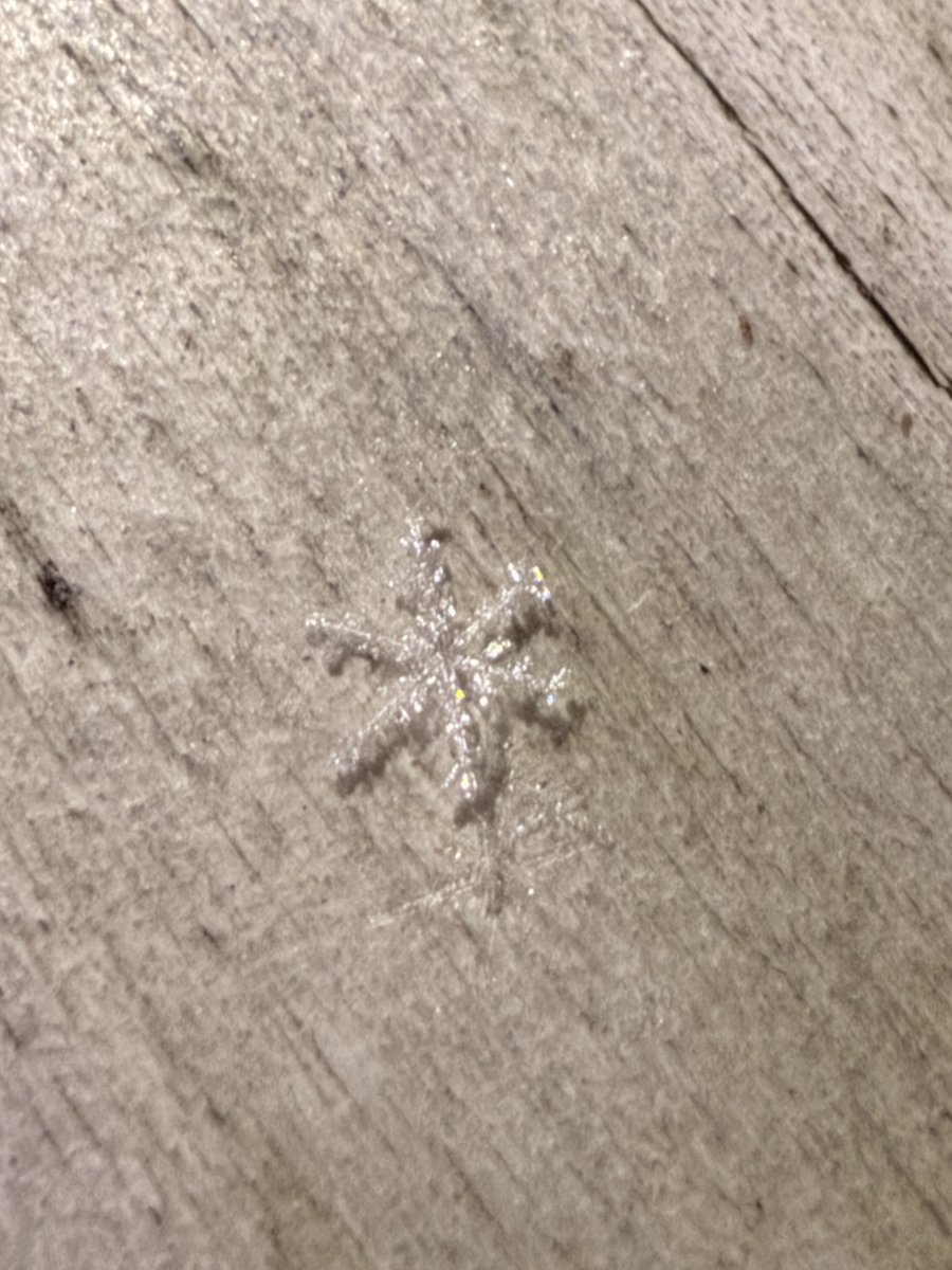 NWSAtlanta's tweet photo. Beautiful snowflakes observed just across the GA/TN border in Cleveland, TN!❄️
Could certainly see something similar early Saturday as the temperature &amp; moisture conditions we will experience are ideal for snowflake structures like the ones seen below. 
Photos by: Maddie L. https://t.co/jlnGxAXV0V