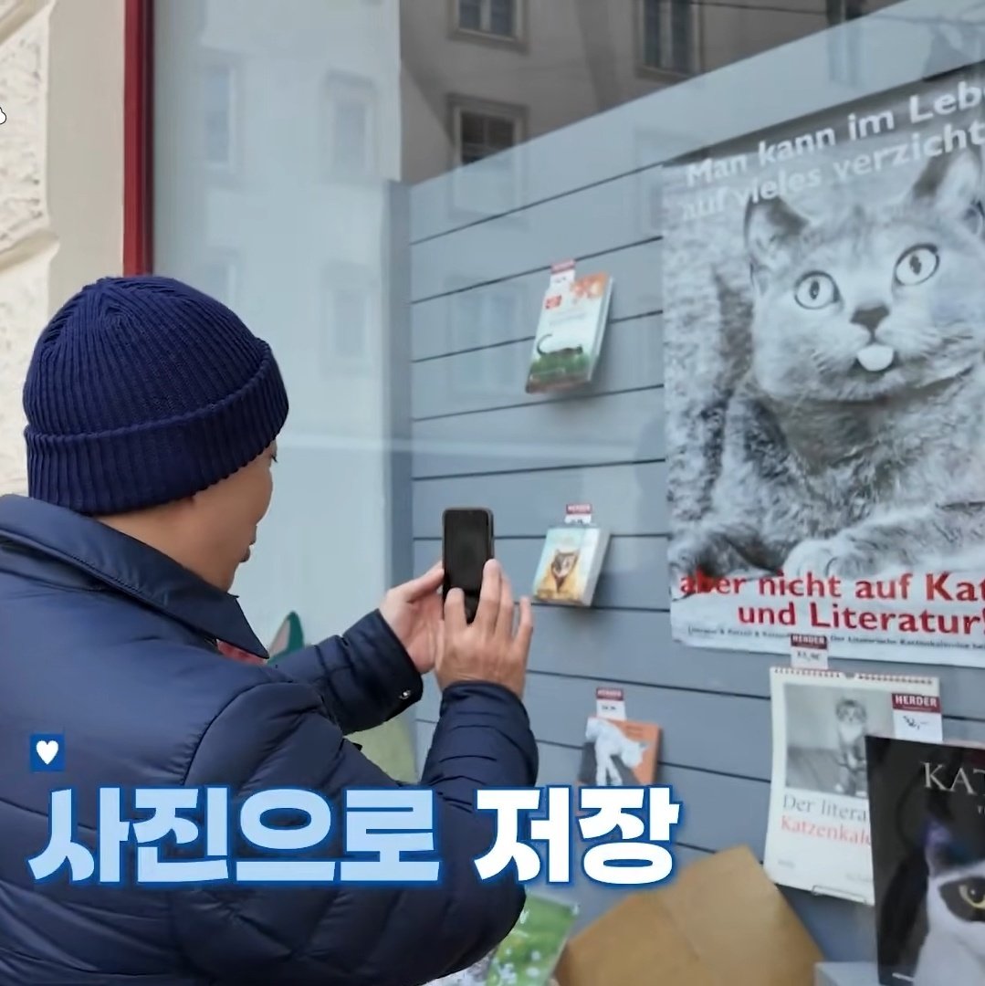 niigemokko's tweet image. 이번주 풍향고 웃겼던 거
고양이 관련된 것만 보면 정신없이 찍다가 개는 무섭다고 가던길도 바꿔감 ㅋㅋㅋㅋ