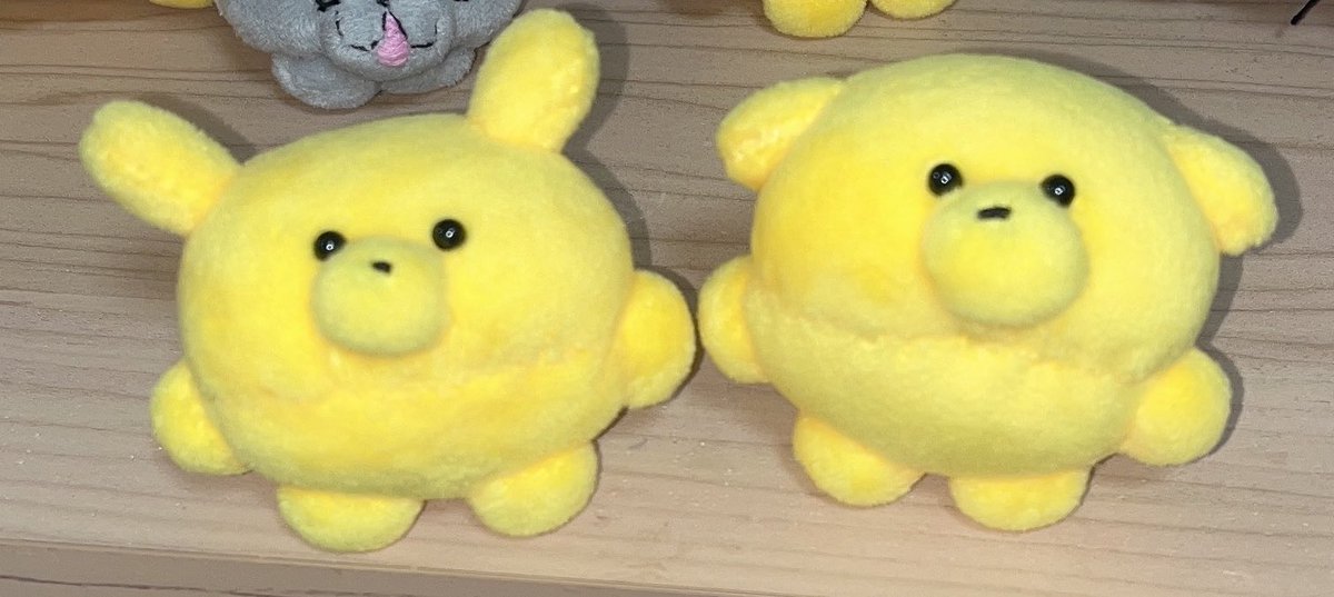 タレ耳もかわいいね💫