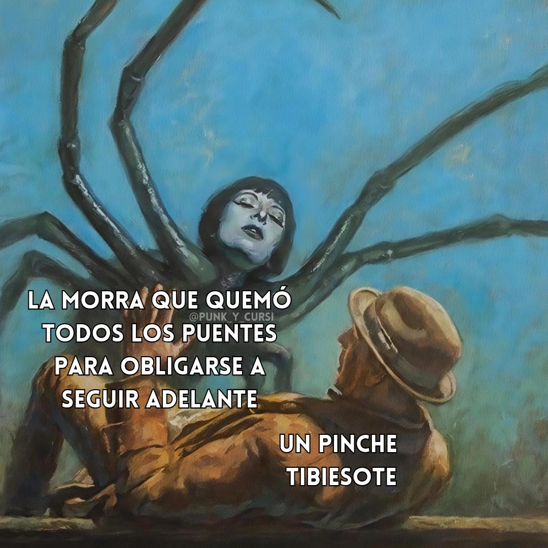 🕷️🕷️🕷️🕷️