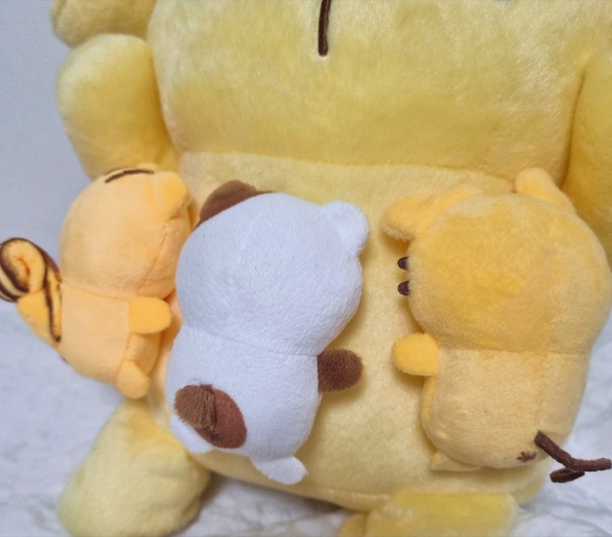 _himmore's tweet image. [ 자 랑 ]