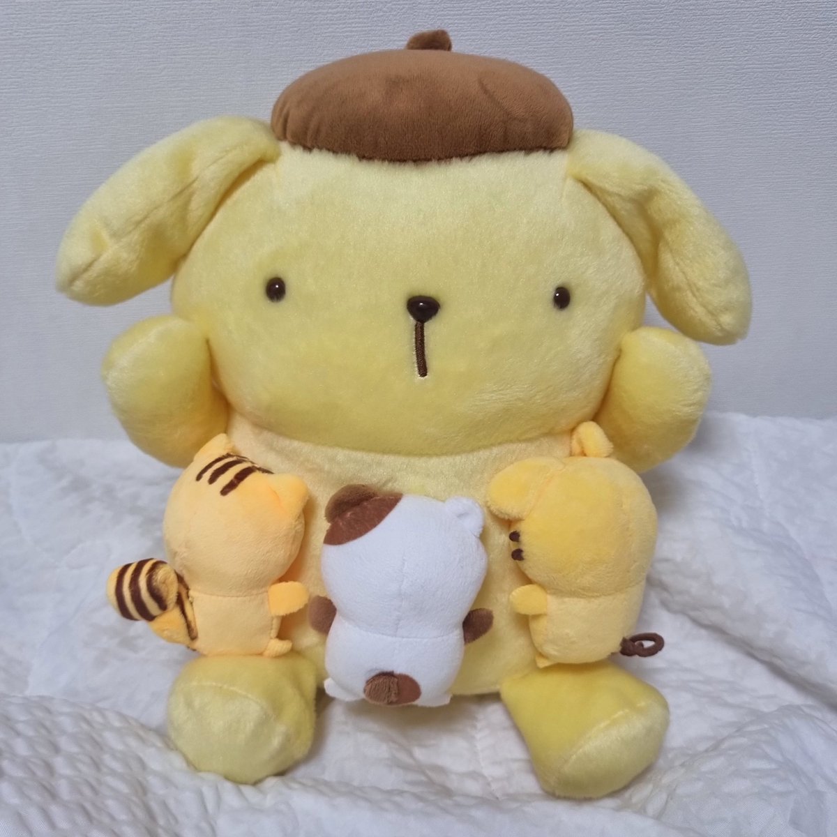 _himmore's tweet image. [ 자 랑 ]