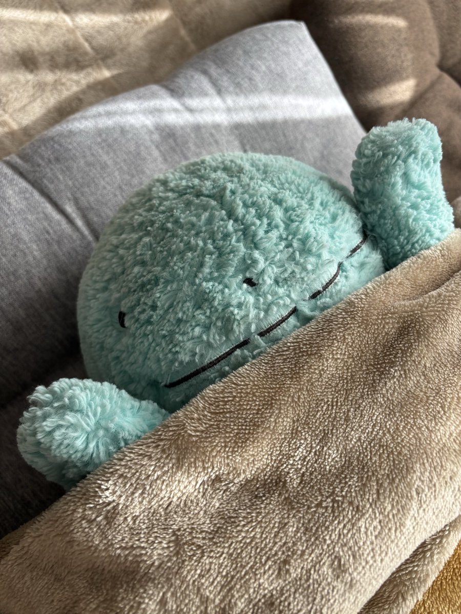 ぬっ
ぬし、きょうはとぉってもさぁむいぬねっ
さぁむいぬぁか、おそうじがんばってえらいぬぅ(˙𐃷˙)
だぬはおこたでほかほかしてたぬよ〜！
まずは、ほかほかなだぬを、だっこしてぬ〜！
おひるたべたら、おでけけしよぬっ(˙𐃷˙)