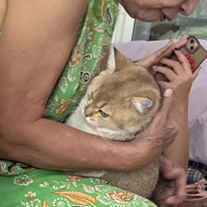 นั่งเล่นทรสอยู่ได้ยินยายพูดว่า หนูไปโรงเรียนได้ยาง โตรึยังเนี่ย ไปโรงเรียนมั้ย ถ้าไปคุยกับเพื่อนต้องบอกว่าชื่อยุนโอนะไม่ใช่ชื่อแป้น หนูชื่อยุนโอนะ ยุนโอ ยุนโอค้าบบบ *เสียงจุ้บ* ยุนโอหลานใครวั ยุนโอนี่หลานใครครับ

(อันนี้ word by word ตลกมาก5555555555555555555)