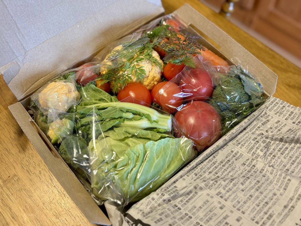 PRじゃなくただのオススメやで情報
メルカリで農家さんのお野菜買うのめっちゃ良い！
500円OFFクーポンと、ビットコイン運用益があったからお試し購入。注文した次の日に蓋がこんもりしたコンパクト便が届いて、早さとビジュアルにビックリ！お野菜は7種類も入ってて大満足〜！またリピしよ〜〜！