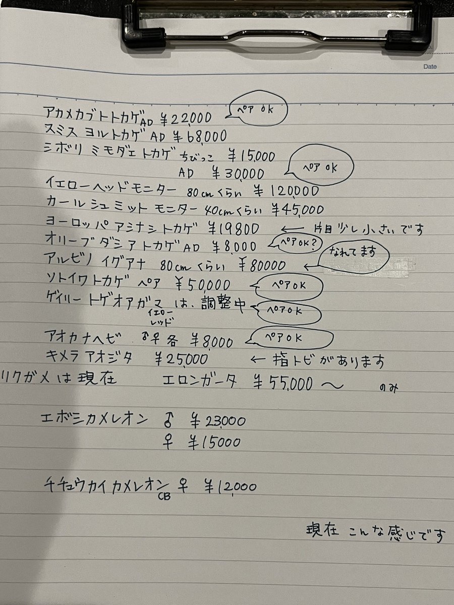 ホームページも触ってないから
こんな感じになってお恥ずかしい限りです😅店頭でも販売してます。気になるトカゲおりましたらリクエストよろしくお願いします。リクエスト優先で連れて行きます。
スペース上大きな個体は連れて行けないかも😅
明日のプーキー高松店さんよろしくお願いします😊