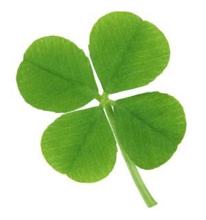 jeong2_0's tweet image. 지나가는 사람들에게 행운 뿌리기
🍀🍀🍀🍀🍀🍀🍀🍀🍀🍀🍀🍀🍀🍀🍀🍀🍀🍀🍀🍀🍀🍀🍀🍀🍀🍀🍀🍀🍀🍀🍀🍀🍀🍀🍀🍀🍀🍀🍀🍀🍀🍀🍀🍀🍀🍀🍀🍀🍀🍀🍀🍀🍀🍀🍀🍀