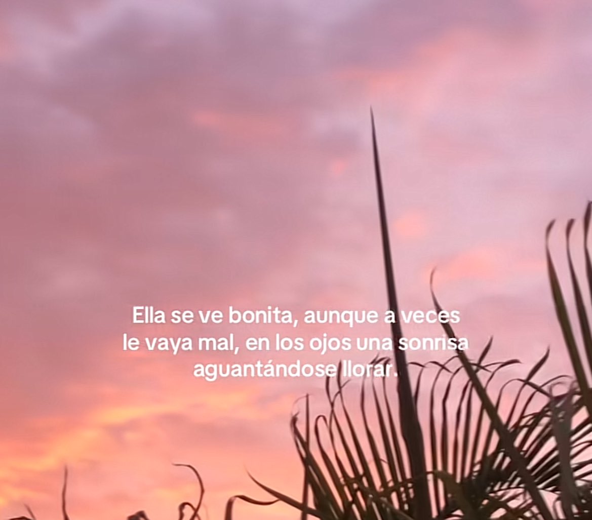 Cindy Delgado 🌼 (@cindy_lisbeth) on Twitter photo 