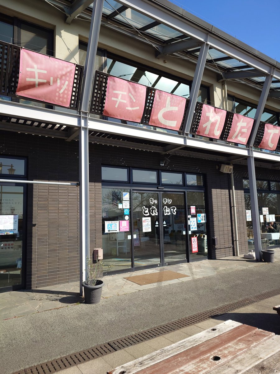 水分補給休憩🐻‍❄️