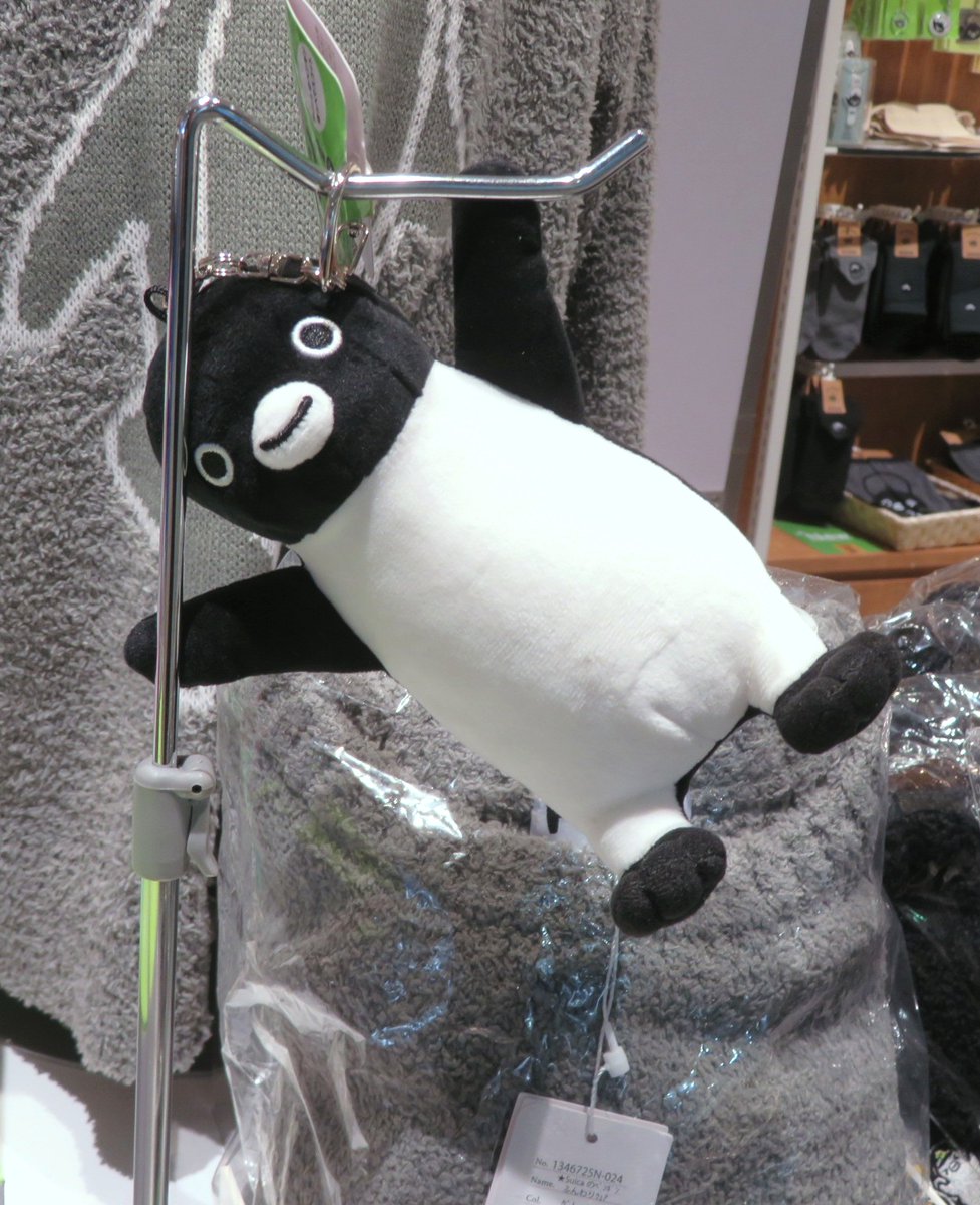 ペンスタ桜木町店さんで定ペンスタ観測 ペンギン歳時記とポールダンス