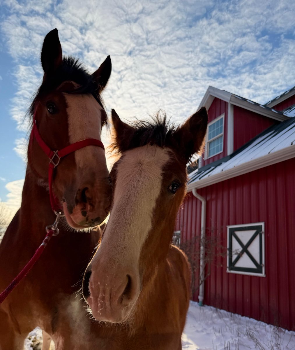 Warm Springs Ranch tweet media