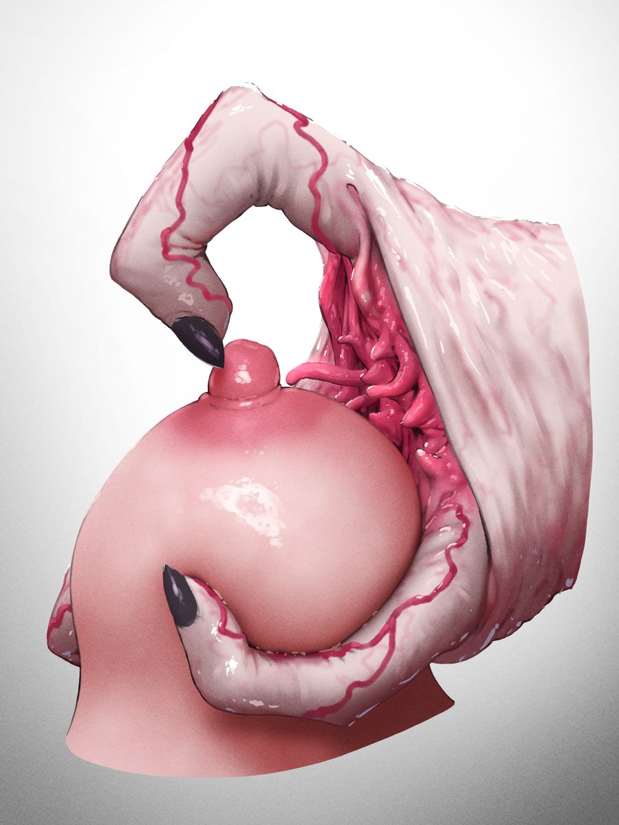 🪱🪱🪱触手再掲🪱🪱🪱 