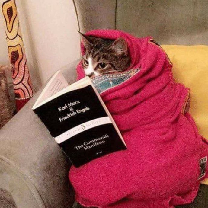 Karl Marx (@marxhaunting) on Twitter photo 