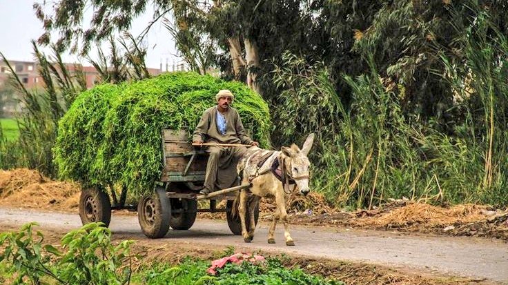 ijubran's tweet image. صـباحُ الخـير..!! 
ثم "عِش صباحك في سِعة الرضا بكل ماكتب الله عليك، واعلم أن كل شيء مكتوب ومُقدّر فلا يفيد حزنك ولا حسرتك، مافاتك لم يكن لك، والقادم فيه عوض وخير، اشرح صدرك، وأحسِن الظن بالله، بمن خزائنه لا تنفد، وخيره واسع لا يقيده زمان ولا مكان."
#صباح_الخير 🌸🍃