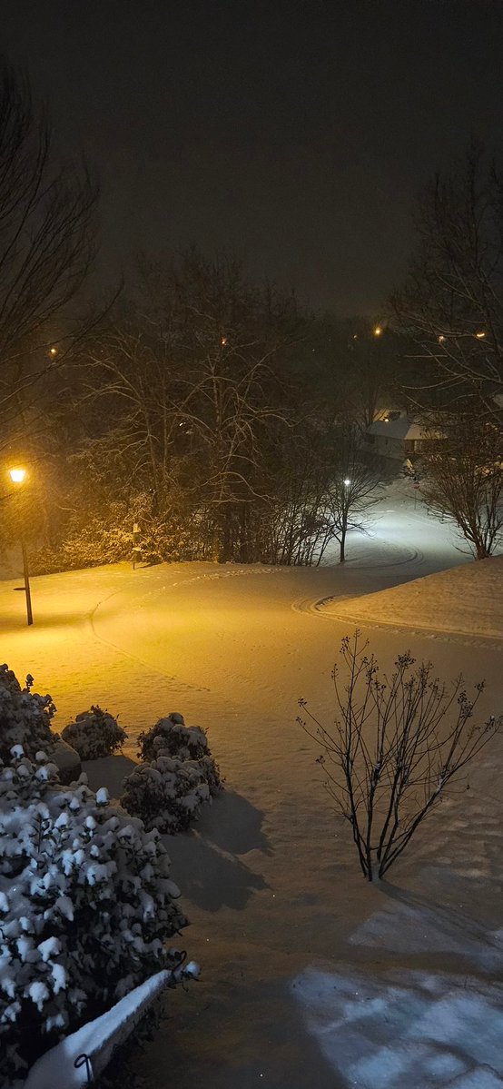 Arkoneous's tweet image. I'm alive!