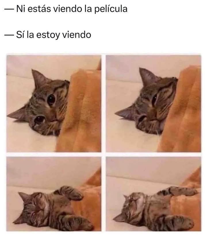 Soy!!! 🤣 🤣 🤣 🤣 🤣 🤣