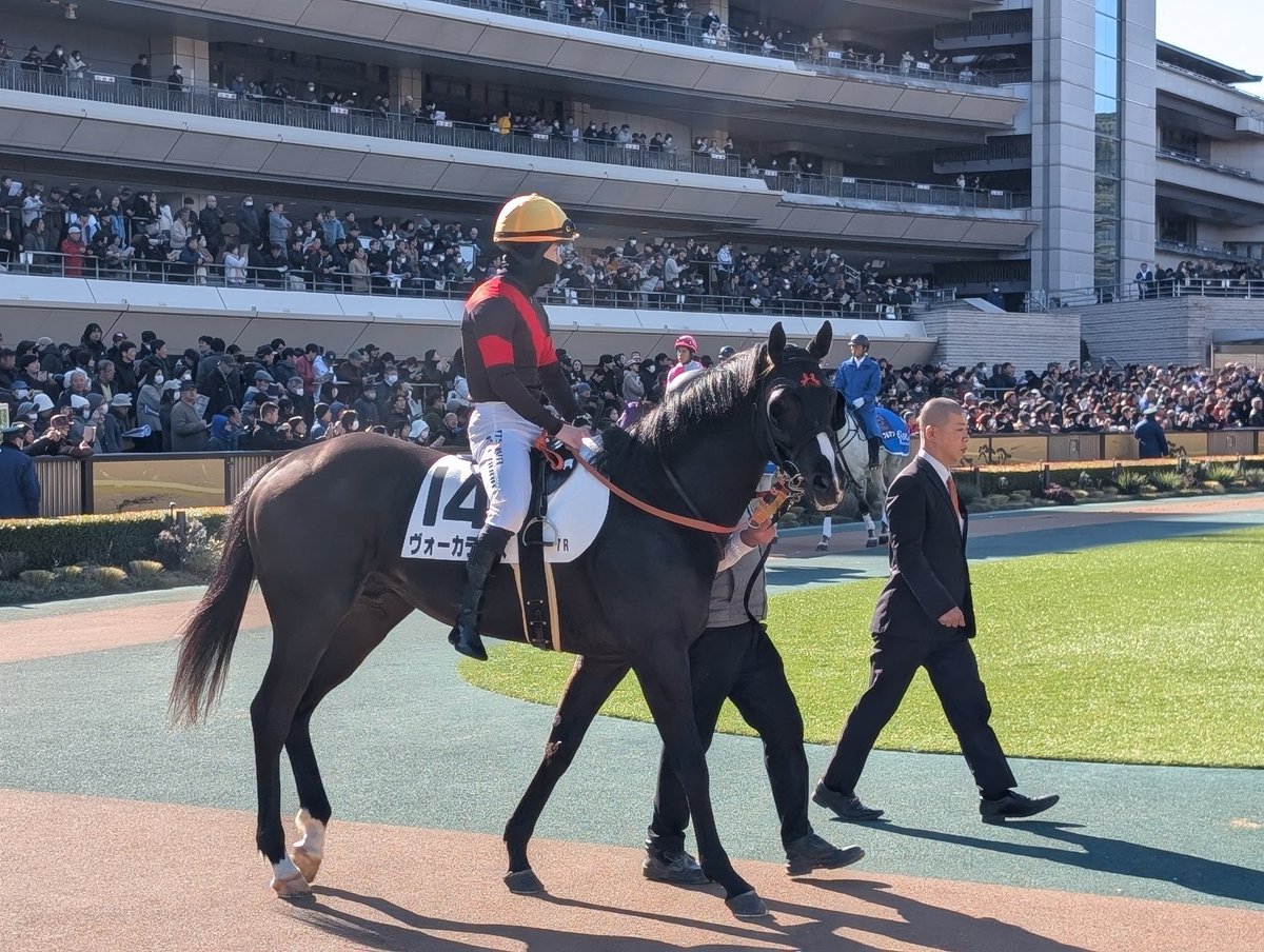 guilty50448050's tweet image. #東京7R 
◎14ヴォーカライズ
馬体の美しさに1秒ほど時が止まりました