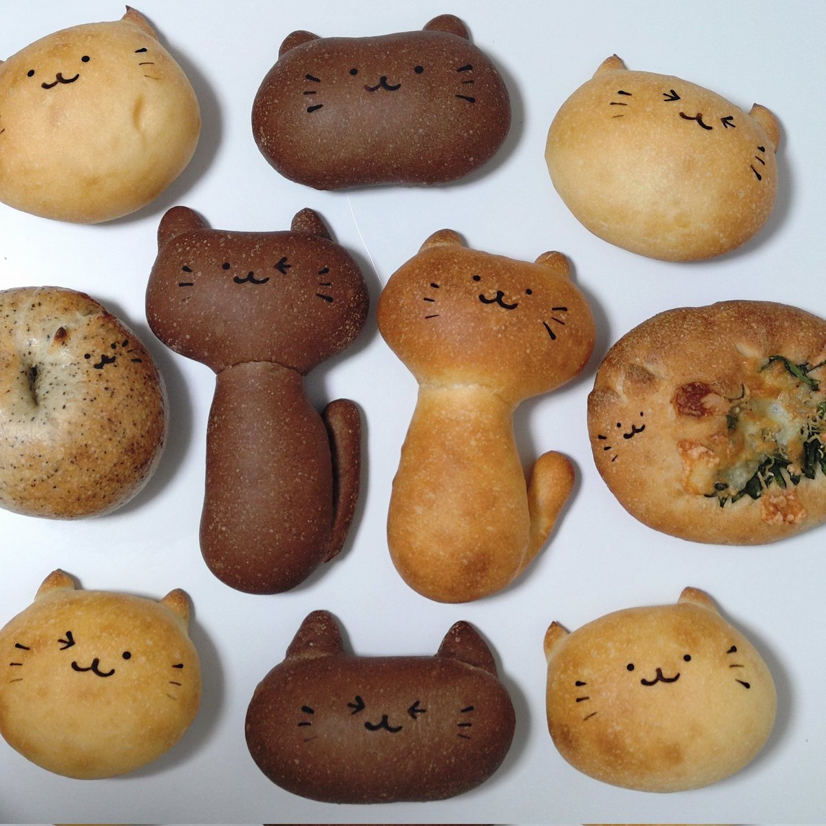 cavatora299's tweet photo. 2月の
サヴァトラぱん🐈‍⬛ ͗
⁡
⁡謙虚な2月です
⁡ご都合あいましたら
⁡お待ちしております❣️
⁡⁡
♥14㈯
⁡11時より
北花田・工房販売⁡
⁡⁡
⁡🐈‍⬛ ͗22㈰⁡猫の日
⁡千里山⁡
⁡ハリコヤさん⁡
⁡⁡
⁡🎁🏃⁡⁡
進捗によりますが…
⁡ねこパン便を計画中
⁡ニャー

 #猫の日  #ネコの日 https://t.co/NK2K4Q9OUP