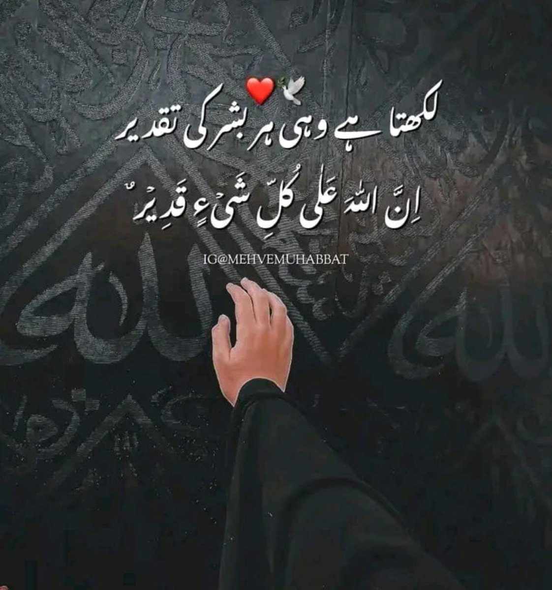 مہرو شہزادی👸 tweet media