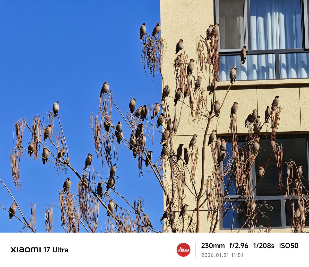 Ice Universe tweet media