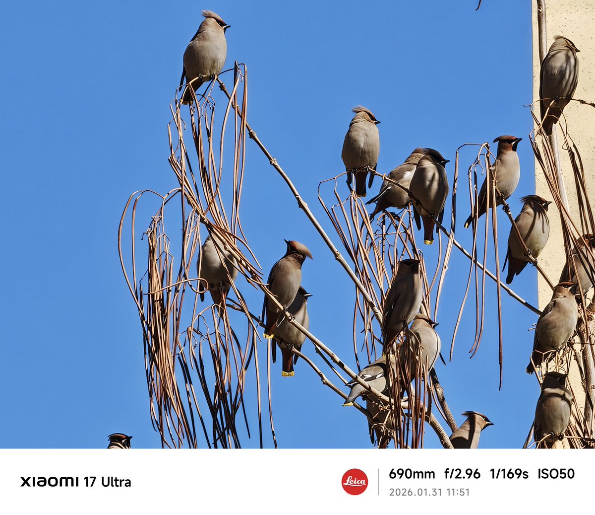 Ice Universe tweet media