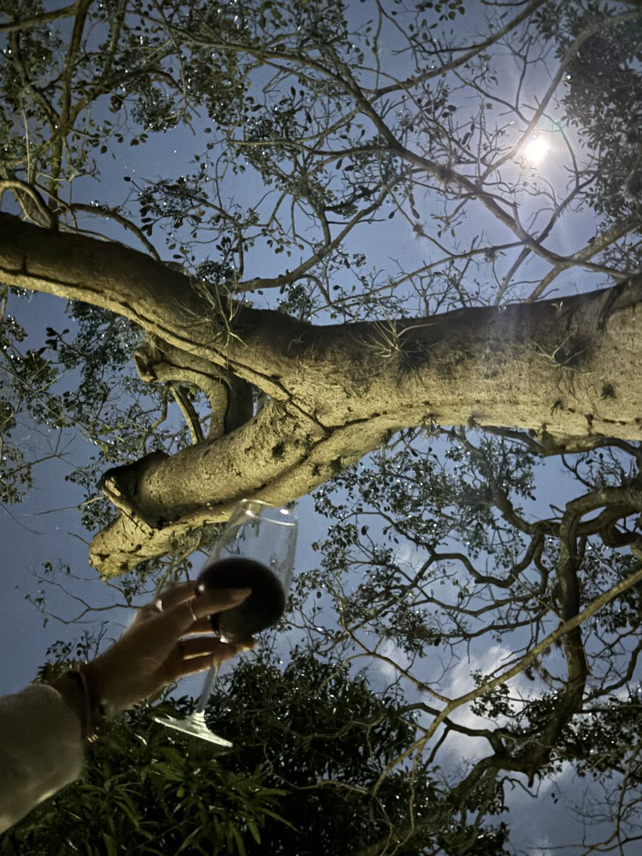 Noches de Luna.. 
#moon #night