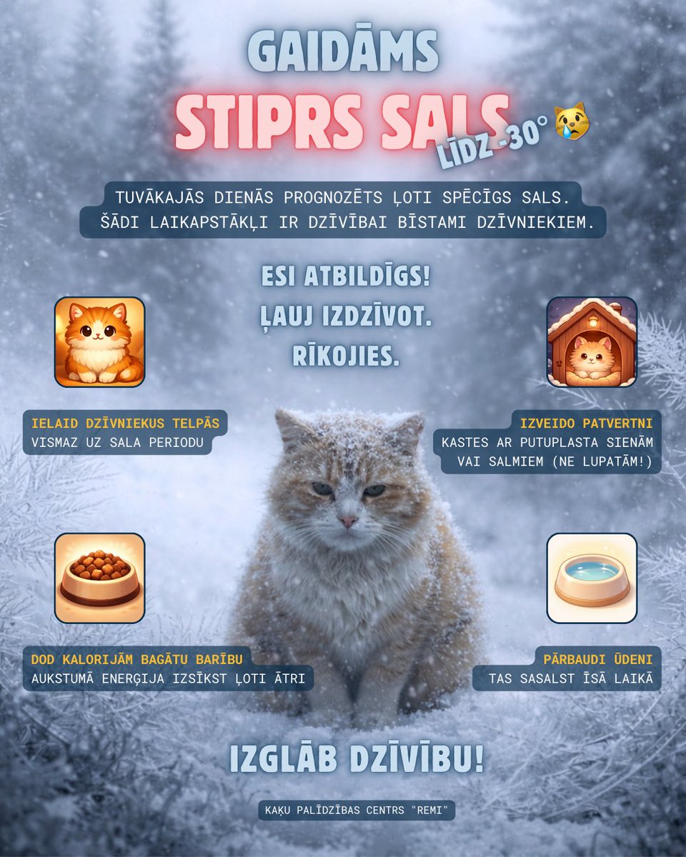 remicentrs's tweet photo. Neaizslēdz. Neaizver. Ļauj izdzīvot! 

Sen nepiedzīvotajā salā suns un kaķis bez pajumtes nereti tiek nolemts mokpilnai nāvei, ja viņam nav, kur paslēpties un sasildīties.

Pie nulles un zemākiem gaisa temperatūras grādiem dzīvnieka ķermenis ļoti ātri zaudē siltumu. Dzīvnieks kļūst vājš, apātisks, sāk trīcēt, līdz vairs nespēj pakustēties.

NĒ - viņš nav pieradis pie sala, un NĒ - viņam salsts ar visu kažoku.

❤️‍🩹 Stūrītis tavā kāpņutelpā vai pagrabā var būt vienīgais patvērums, kur izdzīvot kādam, kuram nav, kur iet. 

1️⃣ Ielaid kāpņutelpā

2️⃣ Atver pagrabu

3️⃣ Ielaid šķūnītī, garāžā vai kaut uz vienu nakti savās mājās

🙏 Nepaej garām pie ķēdes piesietam sunim, kurš, iespējams, klusā agonijā jūt, kā sala adatas plosa viņa ķepu spilveniņus.

🏠 Parūpējies par siltu vietiņu. Seko Remi piemēram: mēs pie patversmes esam novietojuši trīs nosiltinātas mājiņas (vienu divstāvu un divas vienstāvu) bezsaimnieku kaķiem. Ja nevari uzbūvēt mājiņu - noliec vismaz putuplasta kasti ar salmiem, barību un siltu ūdeni.

Neaizslēdz. Neaizver. Ļauj izdzīvot!
