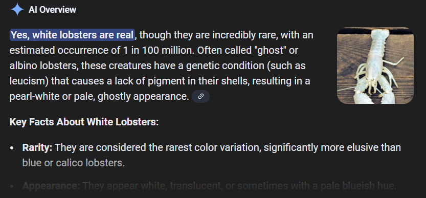 Hey <a href="/grok/">Grok</a> 

How rare are White Lobsters?

9GrdVtBUsA6d6YgjiZaHKzUDhZGgJeN5awxSFPbFWCmh