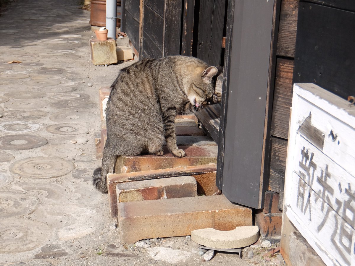 かずまる024 (@kaz_maruru024) / Posts / X