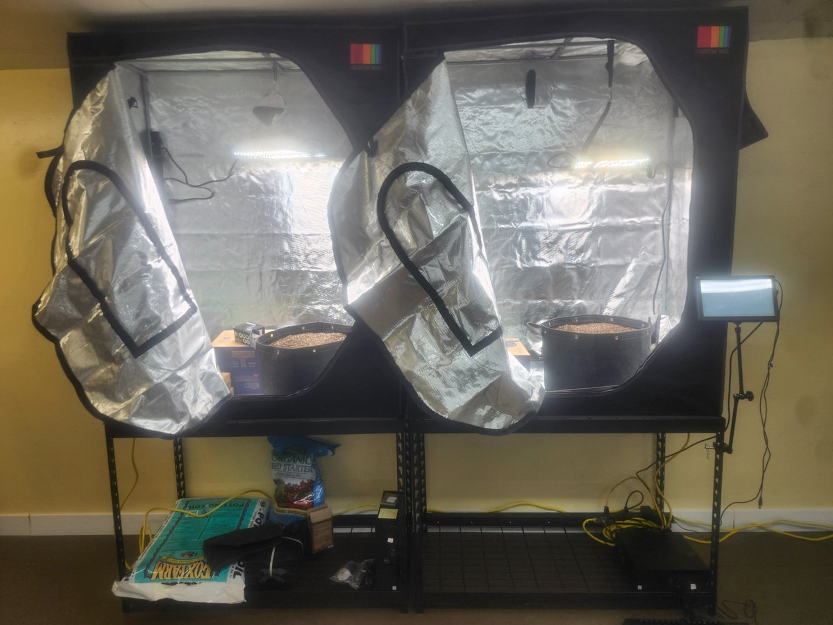 Martin_DeVido tweet media