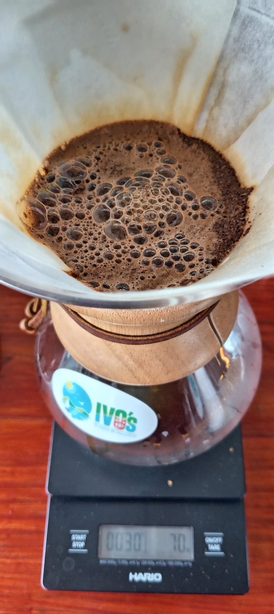 IVOsCafe's tweet photo. Fin de semana cafetero! Con un delicioso clima en Los Naranjos, Lago de Yojoa; ideal para que disfrutes con los tuyos! Te esperamos! 

#ivoscafe #ivoshn #womenincoffee #losnaranjos #yojoalake #LagoYojoa #Honduras #catrachos #CoffeeLover #caféfiltrado #Amucafe https://t.co/FAKw1KxUIX