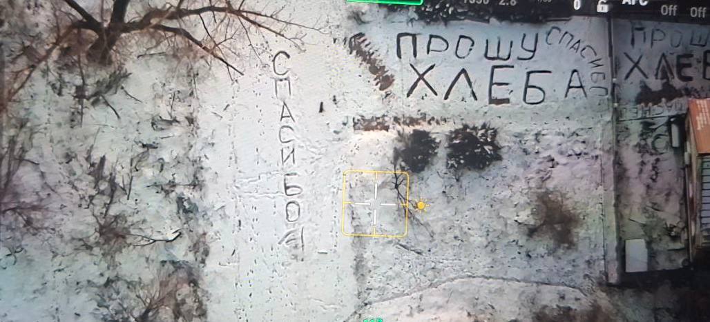 Пухнастий українобот 🇺🇦⚓️ tweet media