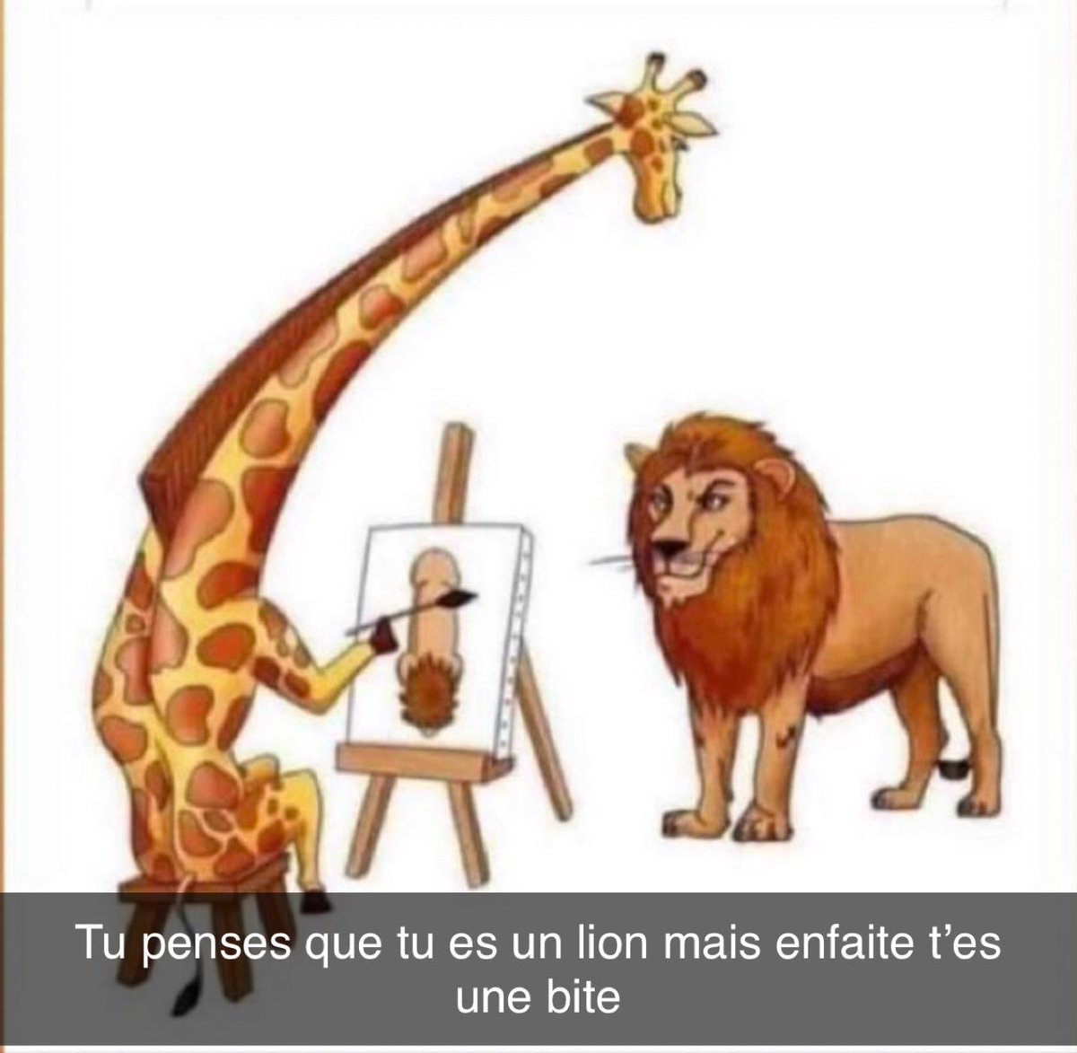 Les lions de l’Atlas