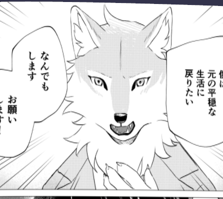 Sail_into_Dawn's tweet image. 🐺アッシュ🐺
