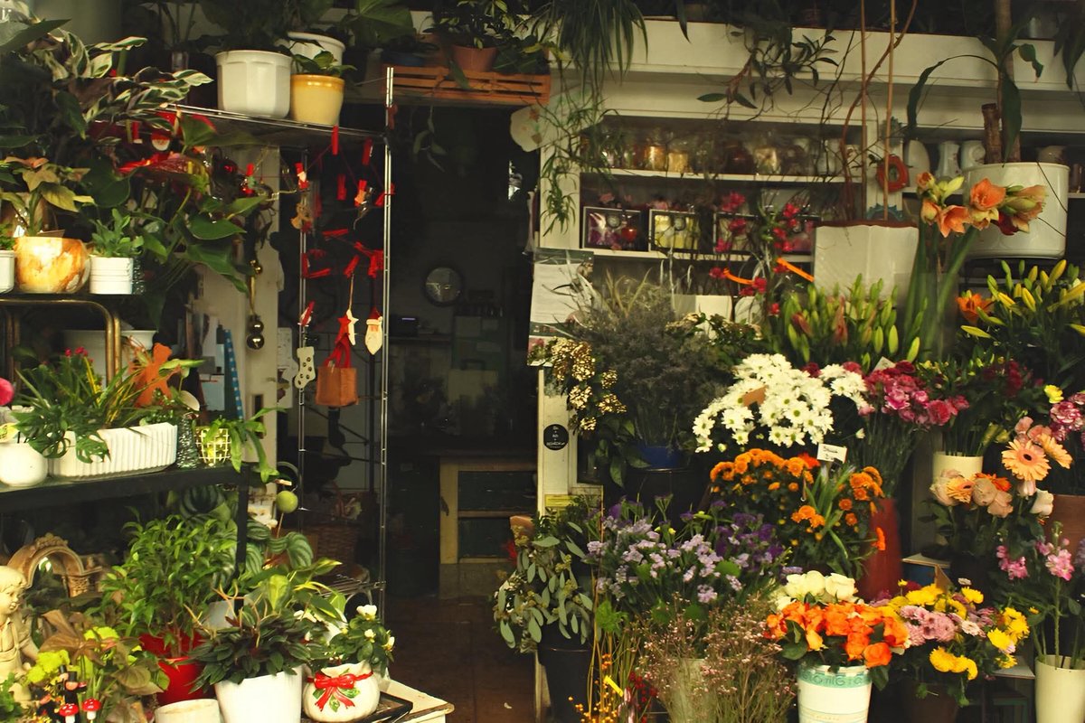 Mariam • tweet media