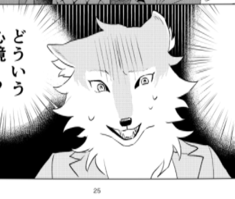 Sail_into_Dawn's tweet image. 🐺アッシュ🐺