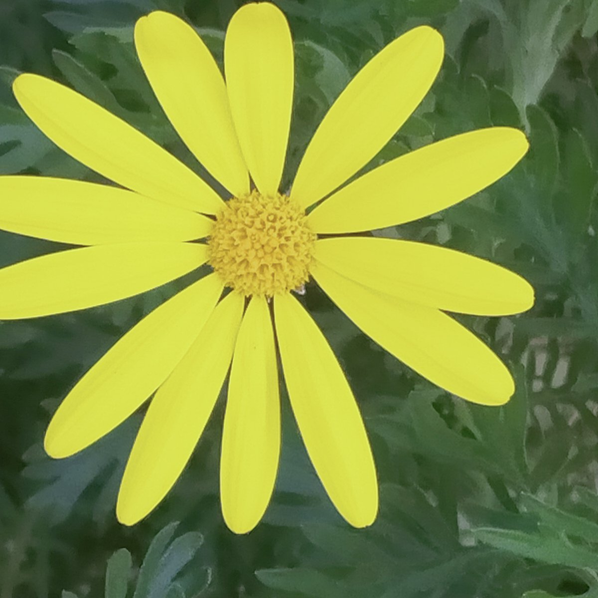 晩酌 銀紋からのお知らせ🏮
1月19日(月)本日18時開店23時半ラストオーダーです。
自家製煮豚で1杯いかが🍖🍻
ご来店お待ちしております🙇