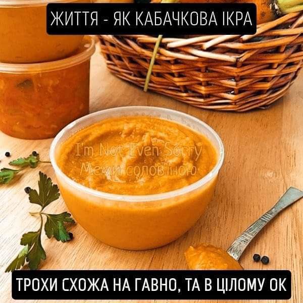 🦤💀🦴⛏️Paleo_Daddy⛏️🦕🦖🦣 (@paleo_daddy) on Twitter photo 