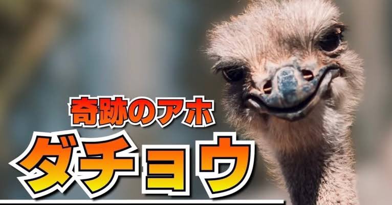 一旦脳を整理するために私は3時間の昼寝をして今起きた、本当は30分の仮眠の予定だったのに
たすけて