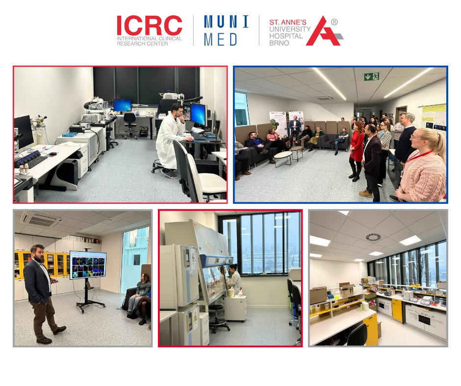 International Clinical Research Center tweet media