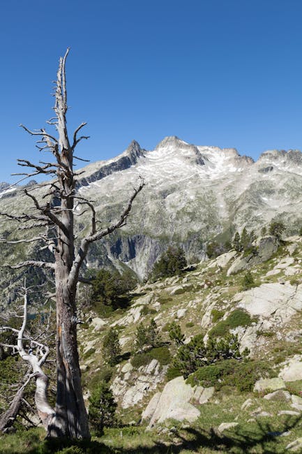 Usnam Acharf tweet media