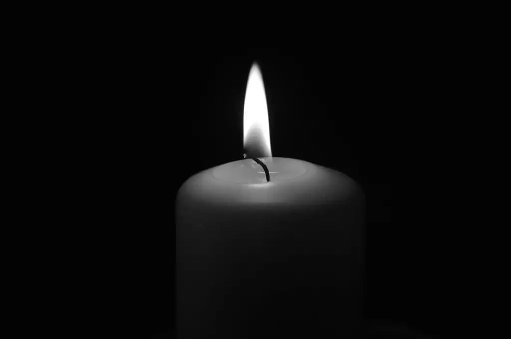 Daniel Buda tweet media