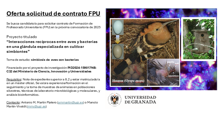 Máster en Biotecnología UGR tweet media