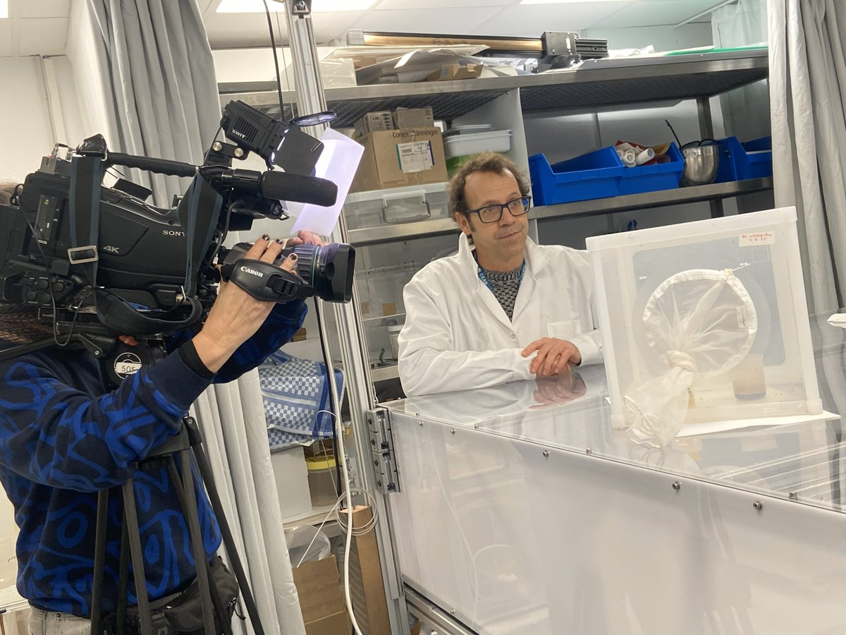 E4Warning HE tweet media