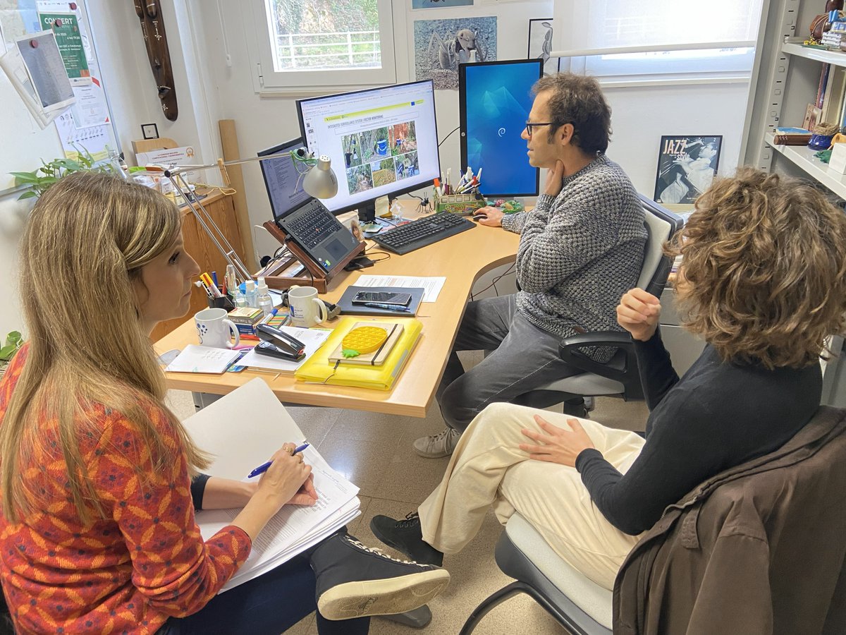 E4Warning HE tweet media