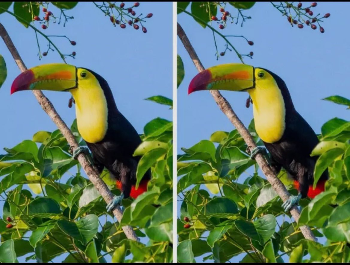 Tuğçe yıldız tweet media
